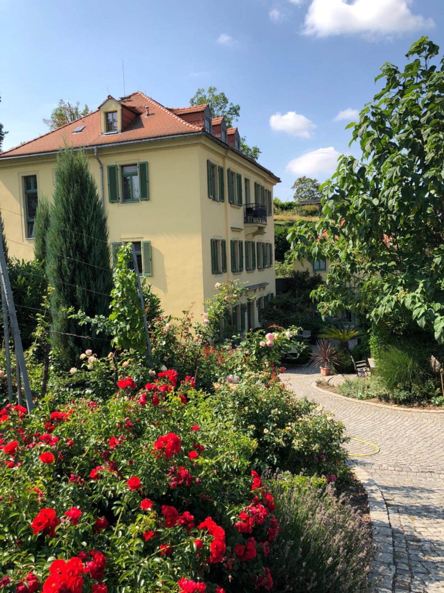 Rebenhaus Meißen Εξωτερικό φωτογραφία